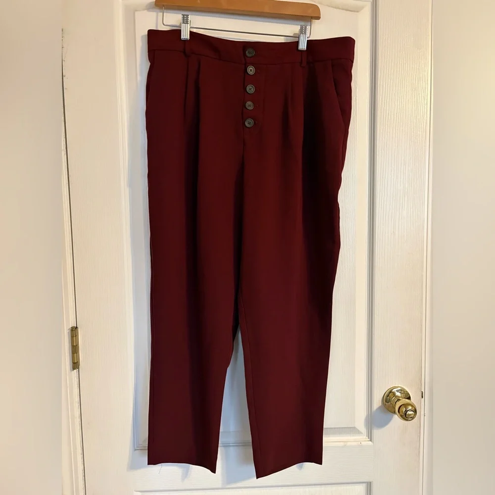 Anthropologie Sasha Button Fly Tapered Trouser Pants Business Travel Pleated - Picture 2 of 9